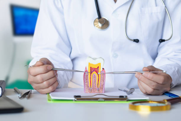 Best After-Hours Emergency Dentist in Bellville, TX